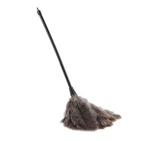 Mini Hand Washable And Reusable Ostrich Feather Dust Collector (Option: as picture)